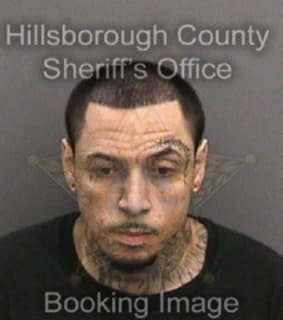 Delgado Jonathan - Hillsborough County, Florida 