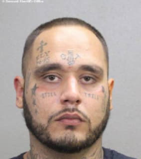 Bonilla Michael - Broward County, Florida 