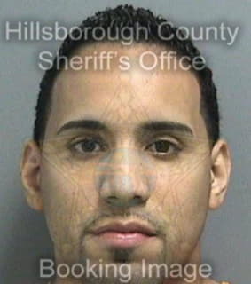 Lopez Rodrigo - Hillsborough County, Florida 