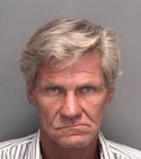 Micale Ronald - Pinellas County, Florida 