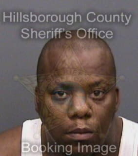 Coleman Steven - Hillsborough County, Florida 