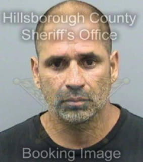 Delgado Victor - Hillsborough County, Florida 