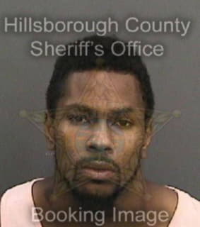 Johnson Joshua - Hillsborough County, Florida 