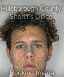 Diaz Anthony - Hillsborough County, Florida 