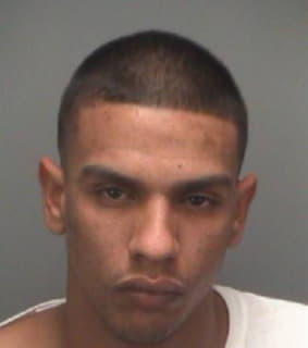 Gomez Hector - Pinellas County, Florida 