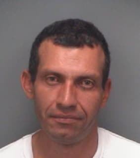 Rivas Gunnar - Pinellas County, Florida 