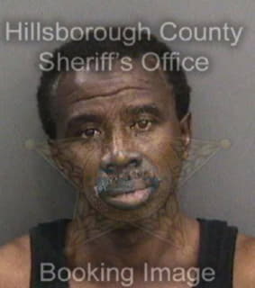 Vaughn Lvin - Hillsborough County, Florida 