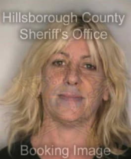 Robinson Nielle - Hillsborough County, Florida 