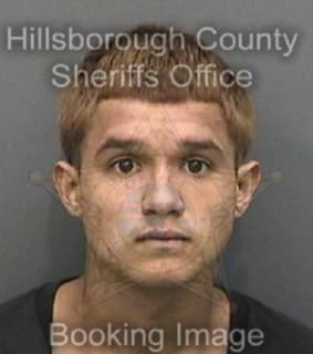 Mendez Roberto - Hillsborough County, Florida 