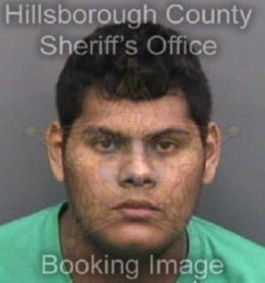 Barrientos Balmore - Hillsborough County, Florida 