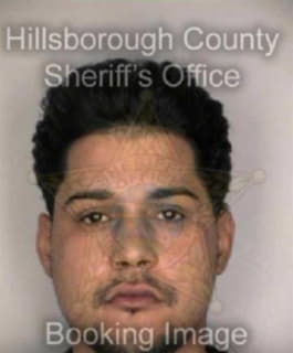 Martinez Jose - Hillsborough County, Florida 