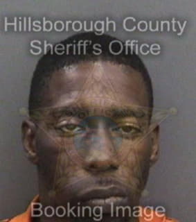 Riley Dwight - Hillsborough County, Florida 