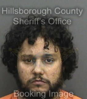 Ortiz Manuel - Hillsborough County, Florida 