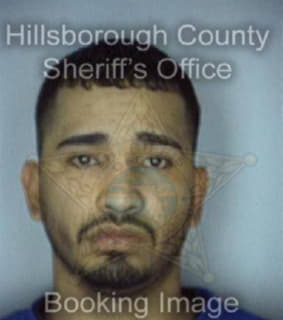 Lopez Victor - Hillsborough County, Florida 