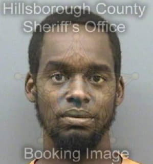 Ross Darryl - Hillsborough County, Florida 