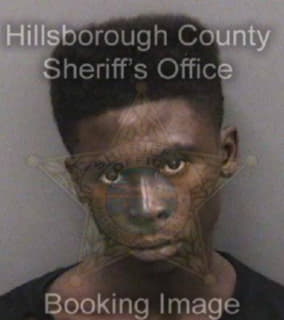 Calloway Jashawn - Hillsborough County, Florida 