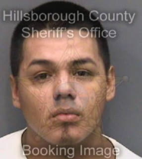 Rodriguez Sesar - Hillsborough County, Florida 