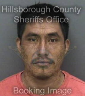 Perez Alberto - Hillsborough County, Florida 