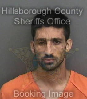 Leviner Joshua - Hillsborough County, Florida 