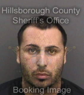 Rodriguez Matthew - Hillsborough County, Florida 