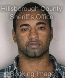 Anderson Tavares - Hillsborough County, Florida 