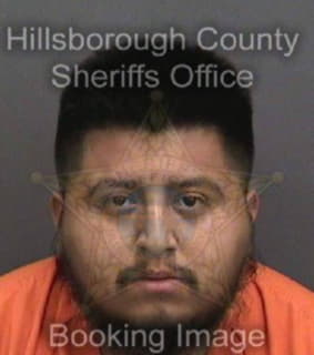 Vargas Emilio - Hillsborough County, Florida 