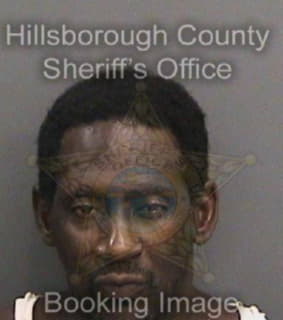 Anderson Johnnie - Hillsborough County, Florida 