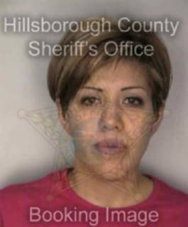 Ruiz Aleli - Hillsborough County, Florida 