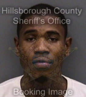 Bradley Bryante - Hillsborough County, Florida 