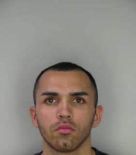 Armijo Francesco - Hillsborough County, Florida 