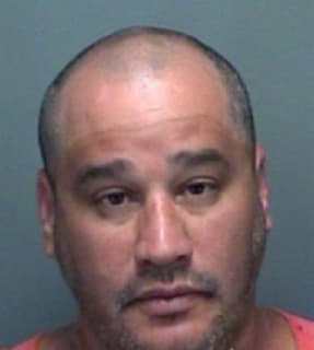 Gonzalez John - Pinellas County, Florida 