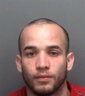 Rivera Luis - Pinellas County, Florida 