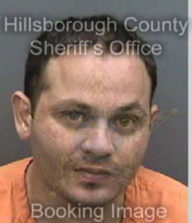 Hernandez Miguel - Hillsborough County, Florida 