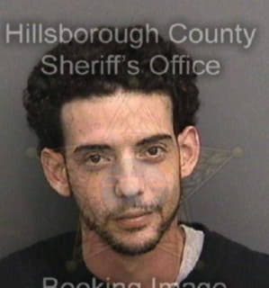 Medina David - Hillsborough County, Florida 