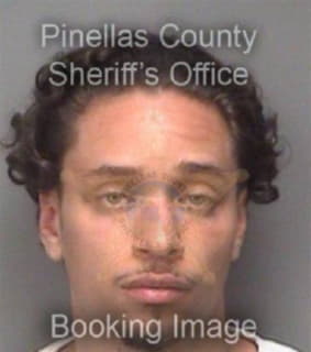 Outten Christopher - Pinellas County, Florida 
