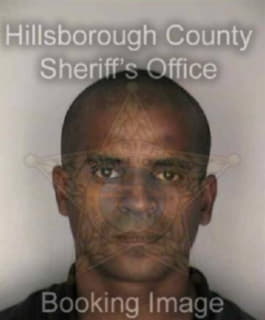 Deleon David - Hillsborough County, Florida 