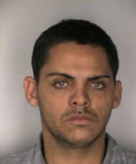 Charneco Eliezer - Hillsborough County, Florida 