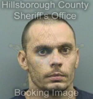 Rossi Michael - Hillsborough County, Florida 