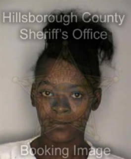 Lee Nicole - Hillsborough County, Florida 