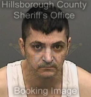 Alsaeedi Sameh - Hillsborough County, Florida 