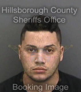 Vargas-Ramos Cristian - Hillsborough County, Florida 