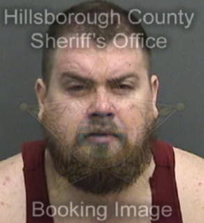 Larson Eric - Hillsborough County, Florida 