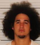 Ruiz Julio - Shelby County, Tennessee 