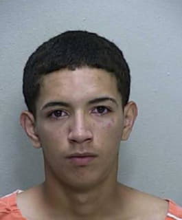 Ruiz Vasquez Luis - Marion County, Florida 