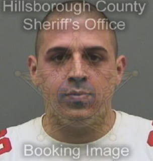 Mendez Michael - Hillsborough County, Florida 