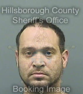 Berrios Walter - Hillsborough County, Florida 