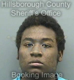 Cameron Adrian - Hillsborough County, Florida 