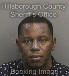 Mitchellgaskin Dennis - Hillsborough County, Florida 