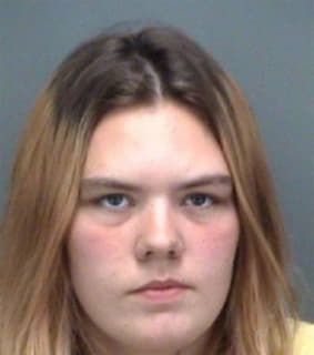 Rolseth Joelynn - Pinellas County, Florida 