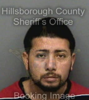 Ramoschun William - Hillsborough County, Florida 